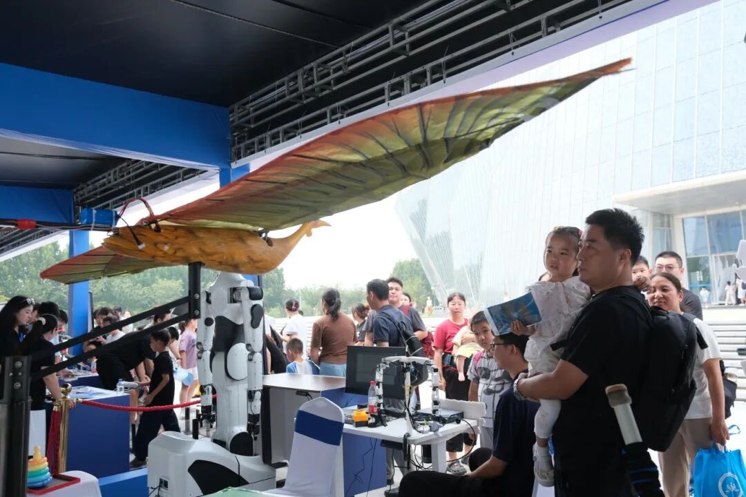 1762497211812.jpg 26-4.jpg