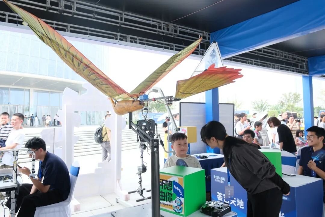 1762497218938.jpg 26-5.jpg